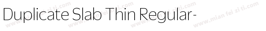 Duplicate Slab Thin Regular字体转换